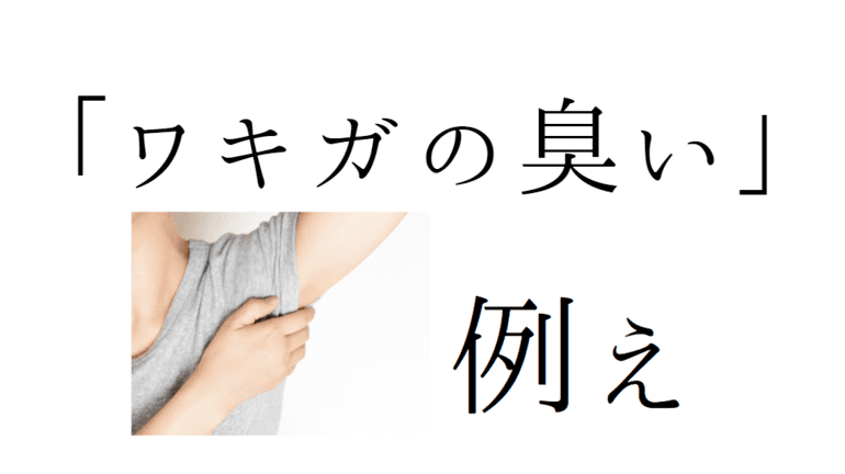 3キロの重さ の例え話 知見の宝庫