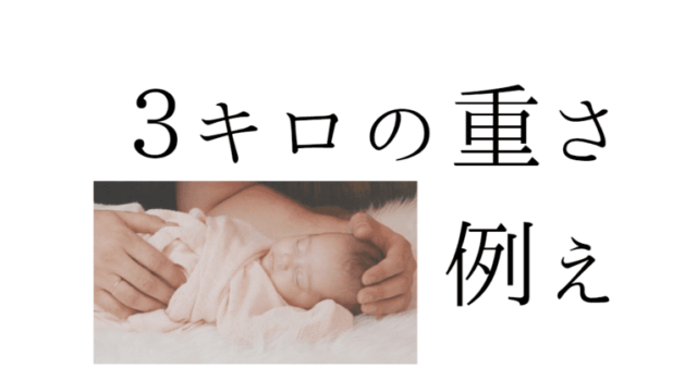 知見の宝庫 知識と経験の宝庫